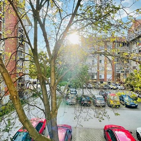 Apartman Jelena Apartment Sremska Mitrovica Bagian luar foto